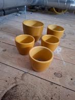 Diverse mini planten potjes te koop!, Ophalen, Gebruikt, Rond, Minder dan 25 cm