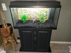 Compleet Juwel aquarium 110 liter inclusief onderkast, Ophalen of Verzenden, Leeg aquarium