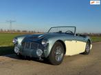 Austin HEALEY 3000 MKI Iceblue on White met overdrive, Auto's, Austin, Achterwielaandrijving, Gebruikt, Overige carrosserieën