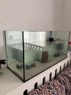 Aquarium met Axolotls te koop!, Dieren en Toebehoren, Ophalen of Verzenden, Zo goed als nieuw, Grind, Zand of Voedingsbodem