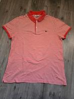 Heren polo Lacoste, maat L (IJ1), Kleding | Heren, Polo's, Ophalen of Verzenden, Zo goed als nieuw
