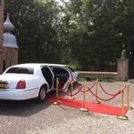 Rode loper voor feest, Ophalen of Verzenden, Nieuw, Overige