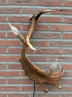 Geweienlamp.lamp.wandlamp.geweien.edelhert.damhert.brocante., Ophalen of Verzenden, Zo goed als nieuw