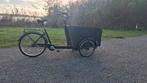 Babboe Dog bakfiets - Fietst heerlijk!, Ophalen, Gebruikt, Goederen, Overige merken