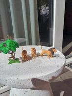 Playmobil Leeuwen en Tijgers Set, Ophalen of Verzenden, Gebruikt, Los playmobil
