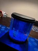 Aquarium 14l met licht, Dieren en Toebehoren, Vissen | Aquaria en Toebehoren, Ophalen of Verzenden, Leeg aquarium