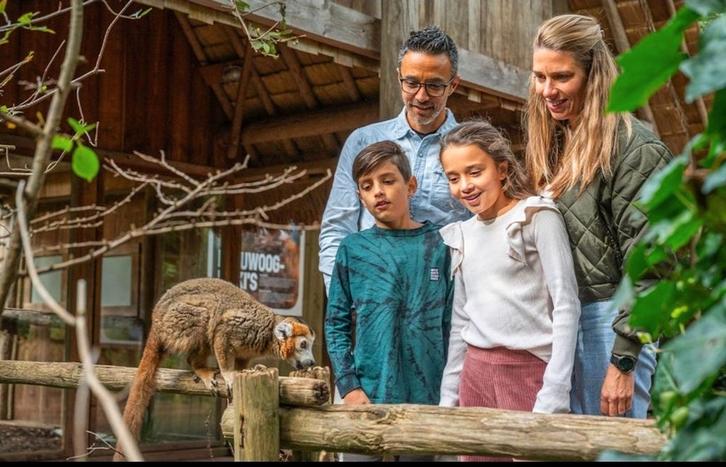 Apenheul 2 tickets, Tickets en Kaartjes, Recreatie | Pretparken en Attractieparken, Twee personen, Ticket of Toegangskaart