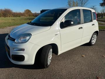 Fiat Panda 0.9 Twinair 44KW 2016 Wit beschikbaar voor biedingen