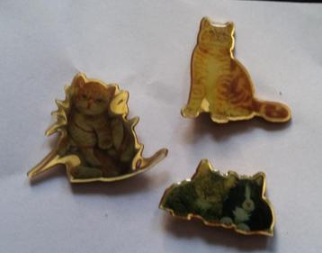 Katten kat poezen poes pins huisdieren dieren pin beschikbaar voor biedingen