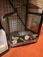 Mooie in goede staat vogelkooi, Dieren en Toebehoren, Vogels | Hokken en Kooien, Ophalen, Zo goed als nieuw, Vogelkooi