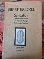 Ernst Haeckel - Sandalion (1910) - Zeldzaam!, Ophalen of Verzenden, Ernst Haeckel