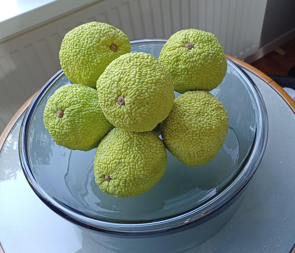 Brood vrucht kunst fruit 7x, Huis en Inrichting, Ophalen of Verzenden, Zo goed als nieuw, Binnen