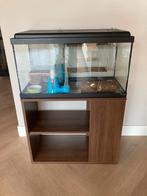 Hamsterkooi hamster terrarium met toebehoren, Dieren en Toebehoren, Knaagdieren en Konijnen | Hokken en Kooien, Kooi, Gebruikt