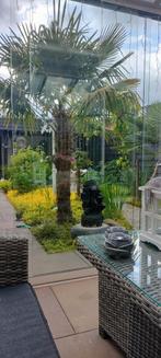 Tuinman Zwolle., Ophalen of Verzenden, Overige soorten