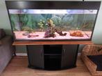Aquarium 1305060, Ophalen, Gebruikt, Leeg aquarium