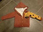 Leuk vest met giraf (maat 80 merk Dirkje), Ophalen of Verzenden, Gebruikt, Onbekend, Jongen of Meisje