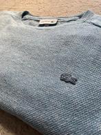Lacoste Trui - Lichtblauw - Maat M, Lacoste, Ophalen of Verzenden, Zo goed als nieuw, Maat 48/50 (M)