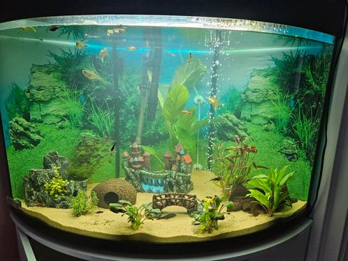 mooi Hoekaquarium met meubel, Dieren en Toebehoren, Vissen | Aquaria en Toebehoren, Zo goed als nieuw, Ophalen