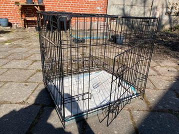 Honden bench  beschikbaar voor biedingen