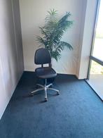 Bureaustoel, Ophalen, Nieuw, Zwart