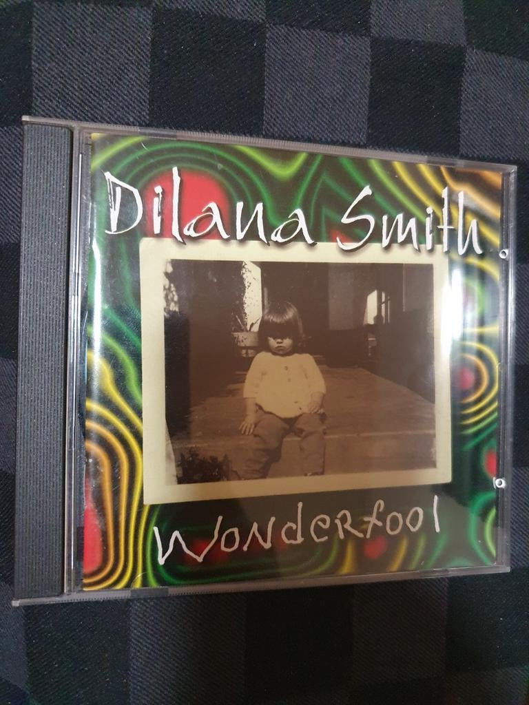 Dilana smith wonderfool, Cd's en Dvd's, Verzenden, Gebruikt, Poprock