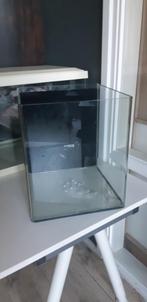 Aqualantis curve cube aquarium, Hobby en Vrije tijd, Ophalen, Gebruikt