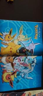 pokemon posters, Ophalen of Verzenden, Zo goed als nieuw