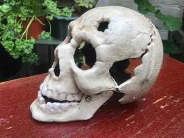 mooie grote gietijzeren schedel/ skull beschikbaar voor biedingen