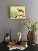 Mooi schilderijtje Uil op karrenwiel, Ophalen of Verzenden