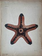 Oude antieke prenten, Antiek en Kunst, Antiek | Religie, Ophalen of Verzenden