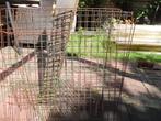 Konijnenren, Dieren en Toebehoren, 60 tot 90 cm, Cavia, Ophalen of Verzenden, Ren