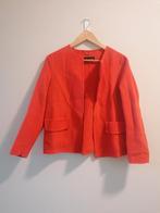 Koraalrode wollen jasje van Massimo Dutti, maat S., Massimo Dutti, Ophalen of Verzenden, Zo goed als nieuw, Jasje