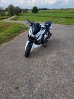 kawasaki z1000, Motoren, 4 cilinders, Particulier, ABS, Naked bike