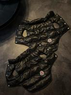 Moncler honden jas, Ophalen, Nieuw