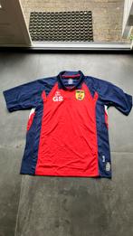 Polo van Sc Cambuur, Maat XL, Ophalen of Verzenden, Gebruikt, Shirt