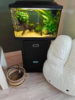 Leuk compleet aquarium, superfish start 70liter, Dieren en Toebehoren, Ophalen, Zo goed als nieuw, Leeg aquarium