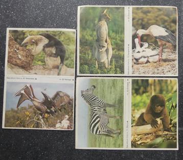 Esso stickers dierenplaatjes Wereld Natuurfonds album plaatj beschikbaar voor biedingen