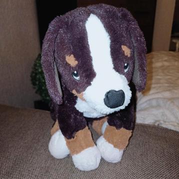 Ikea hoppig, berner Sennem hond.   beschikbaar voor biedingen