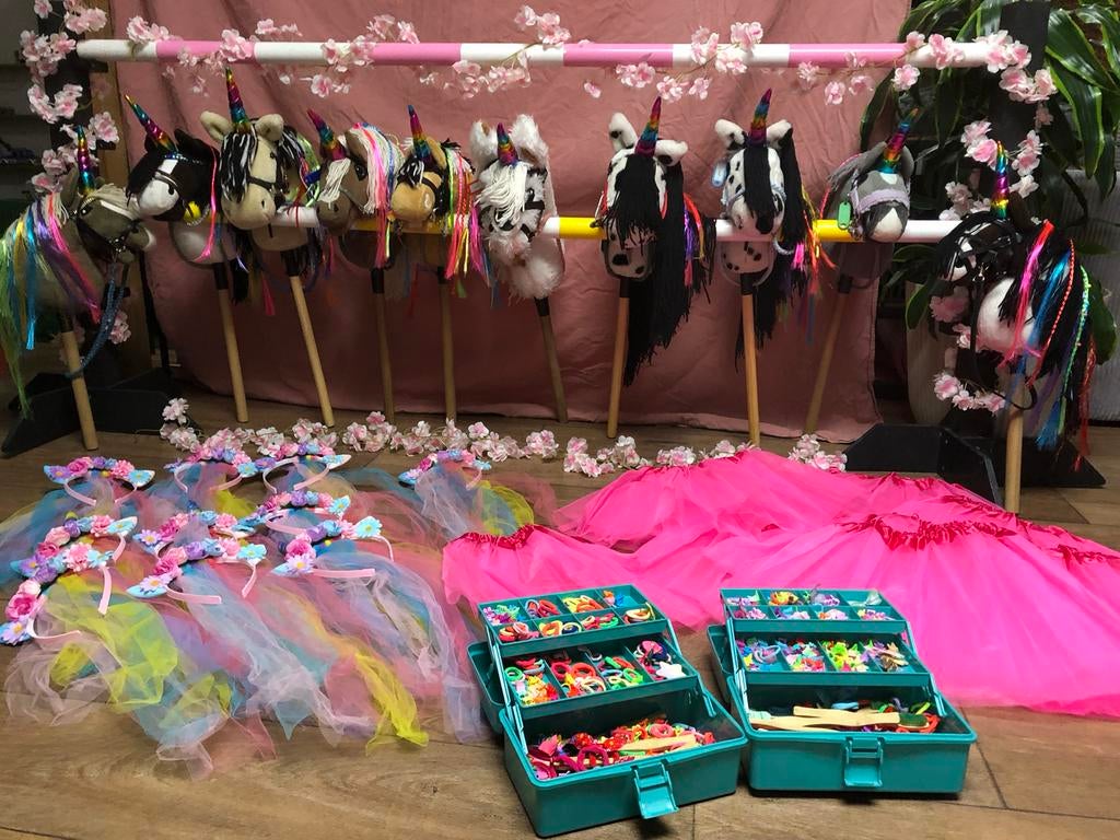 Eenhoornfeestje eenhoorn hobby horses feestje, Ophalen, Overige