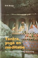Erik Bruijn - Tantra, yoga en meditatie, Boeken, Ophalen of Verzenden, Zo goed als nieuw, Meditatie of Yoga, Instructieboek