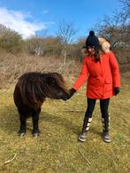 woolrich rode winterjas maat M, Kleding | Dames, Ophalen of Verzenden, Zo goed als nieuw, Maat 38/40 (M), Rood