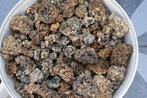 Crocks / Lavastenen, Tuin en Terras, Vijvers, Ophalen, Gebruikt