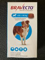 bravecto, hond 20-40 kg, Ophalen of Verzenden, Nieuw
