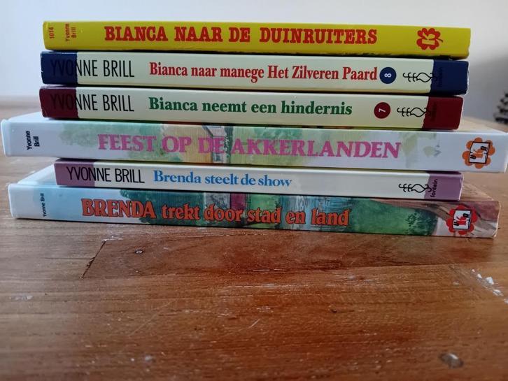 Boeken van de schrijfster Yvonne Brill, Boeken, Kinderboeken | Jeugd | 10 tot 12 jaar, Gelezen, Ophalen of Verzenden