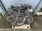 motorblok 1.4 HDI / TDCI DV4C peugeot 208 / fiesta VII, Auto-onderdelen, Motor en Toebehoren, Gebruikt, -, Ophalen of Verzenden