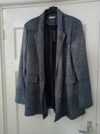 Mooie Glitter blazer voor de feestdagen, Ophalen of Verzenden, Nieuw, Overige maten, Blauw
