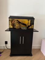 Juwel aquarium, Ophalen of Verzenden, Zo goed als nieuw, Overige typen