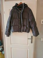 Donker grijze/zwarte daily paper jas, Kleding | Dames, Jassen | Winter, Maat 38/40 (M), Daily Paper, Ophalen of Verzenden, Zo goed als nieuw