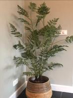 Kunstplant Silk-ka, Huis en Inrichting, Woonaccessoires | Kunstplanten en Kunstbloemen, Ophalen of Verzenden, Zo goed als nieuw