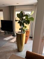 Luxe “goude” bloem pot met plant, Huis en Inrichting, Woonaccessoires | Zuilen en Pilaren, Ophalen, Zo goed als nieuw